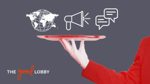 public interest lobbies