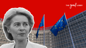 EU deregulation