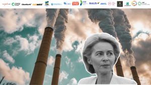NGO coalition