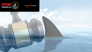 stop finning