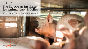 Animal Welfare
