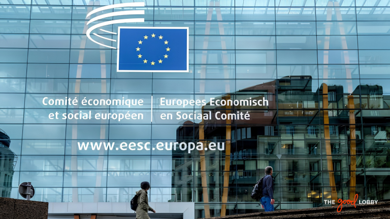 EESC intergenerational fairness